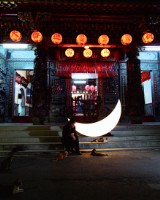 流浪貓們的圖片